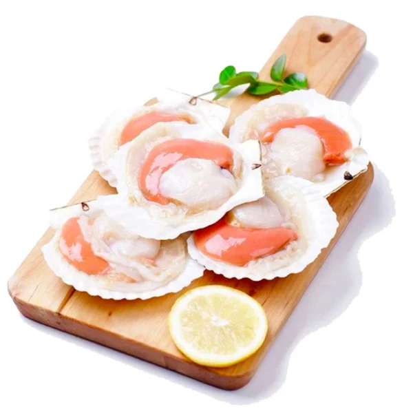 Half shell scallop 冻半壳虾夷扇贝/带卵半壳扇贝-1KG (10/12cm)